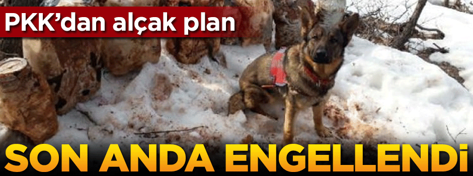 PKK'nın alçak planı engellendi