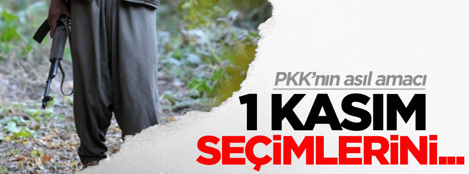 PKK'nın asıl amacı