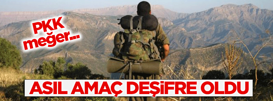 PKK'nın asıl amacı deşifre oldu