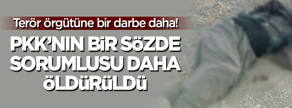 PKK'nın bir sözde sorumlusu daha öldürüldü