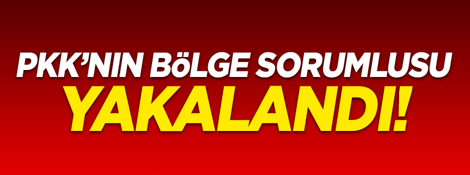 PKK'nın bölge sorumlusu yakalandı!