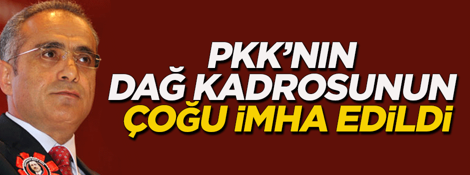 'PKK'nın dağ kadrosunun çoğu imha edildi'