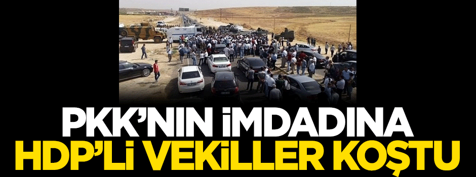 PKK'nın imdadına HDP'li vekiller koştu