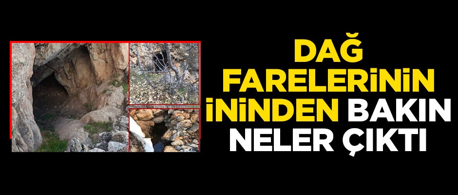 PKK'nın inine girildi! Bakın neler çıktı