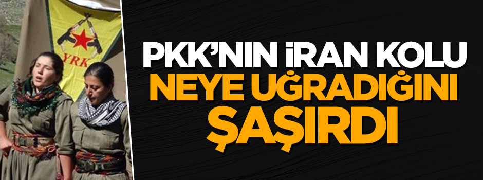 PKK'nın İran kolu YRK'li 12 terörist öldürüldü