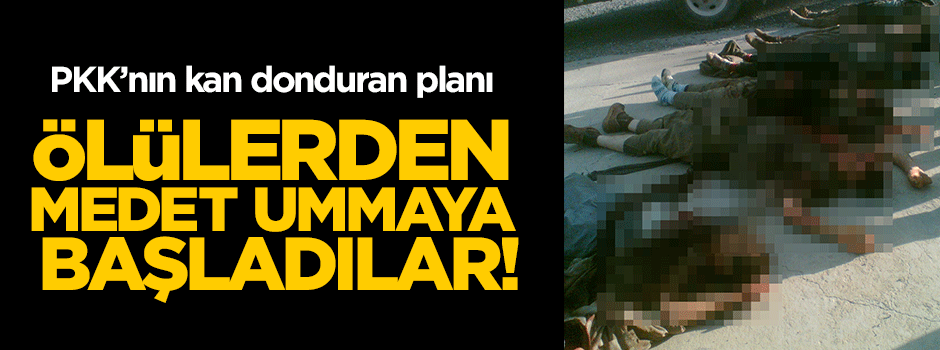 PKK'nın kan donduran planı ortaya çıktı!