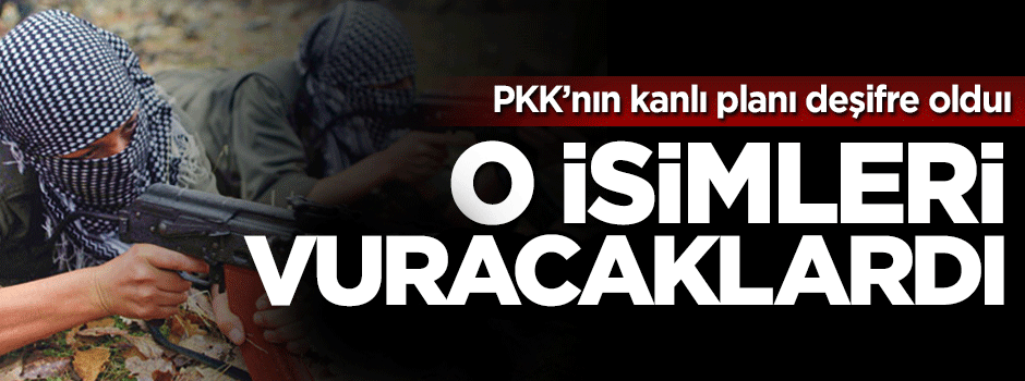 PKK'nın kanlı planı deşifre oldu, hakim ve saracaklardı