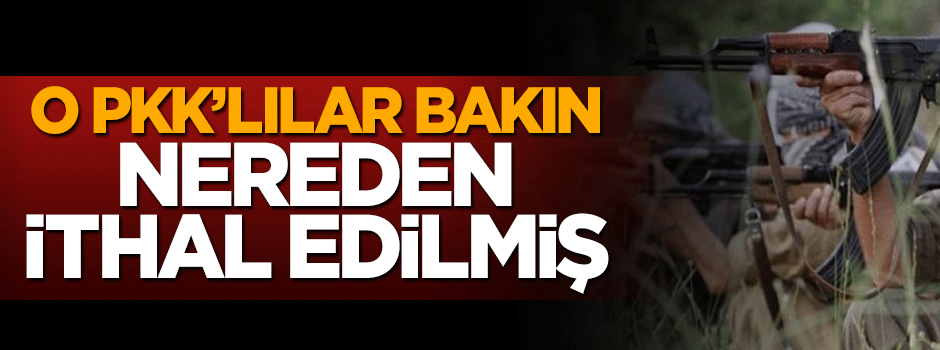 PKK'nın keskin nişancıları Avrupa'dan ithal
