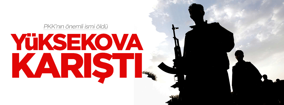 PKK'nın önemli ismi öldü, Yüksekova karıştı!