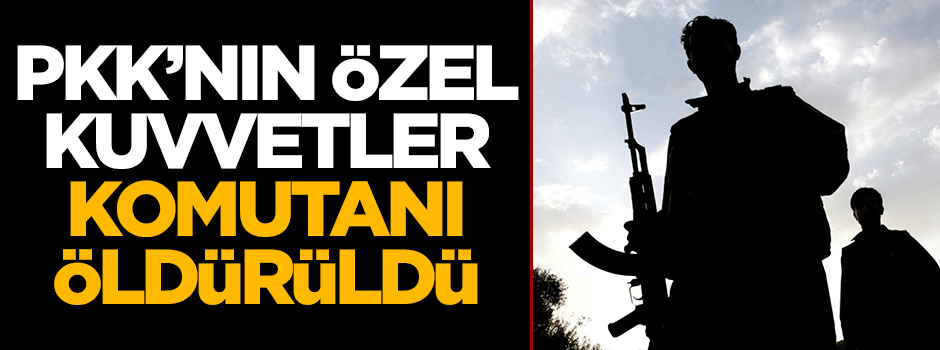 Terör örgütünün elebaşlarından birisi daha öldürüldü