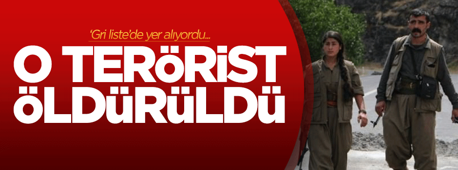 PKK'nın saha sorumlusu öldürüldü