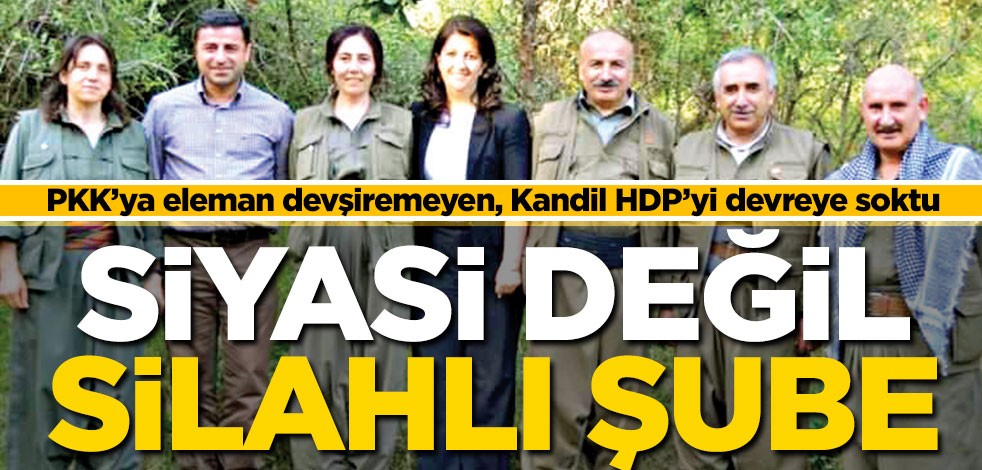 HDP siyasi değil silahlı şube
