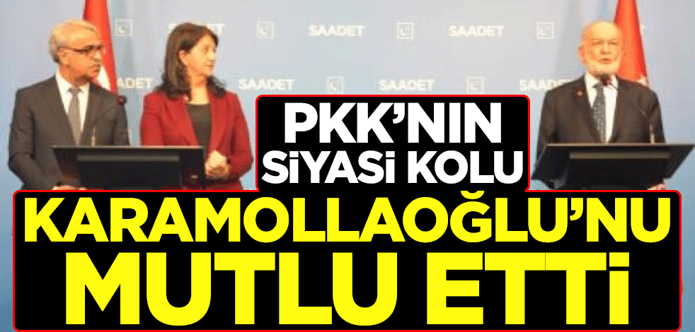 PKK'nın siyasi kolu HDP, Temel Karamollaoğlu'nu mutlu etti