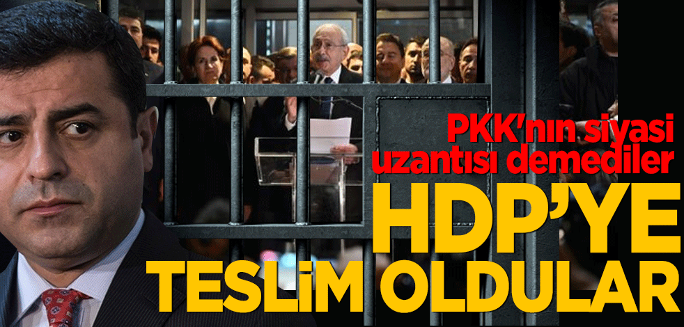 PKK'nın siyasi uzantısı demediler! HDP'ye teslim oldular
