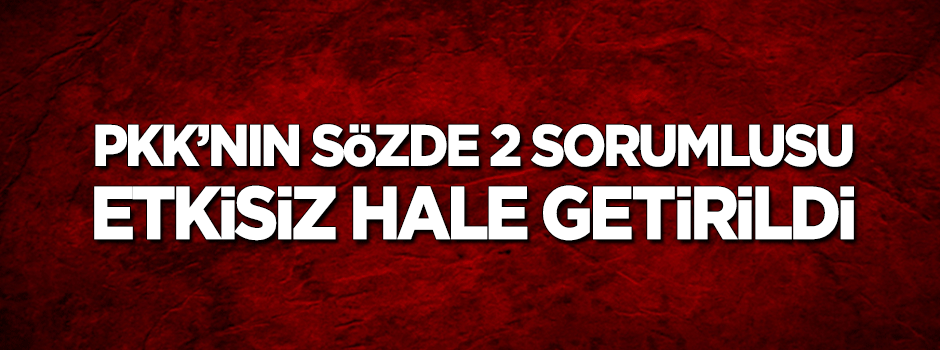 PKK'nın sözde 2 sorumlusu öldürüldü
