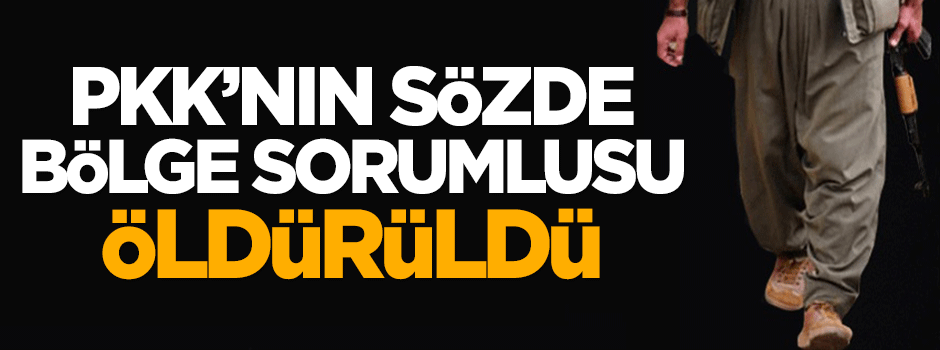 PKK'nın sözde bölge sorumlusu öldürüldü