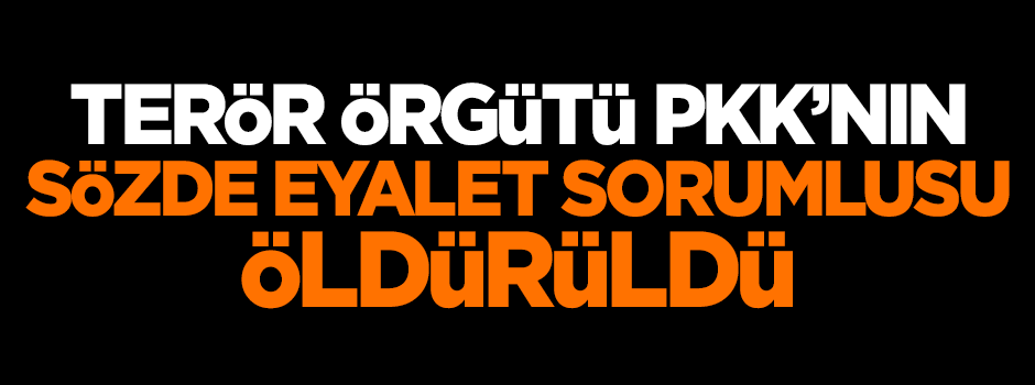 PKK'nın sözde eyalet sorumlusu öldürüldü
