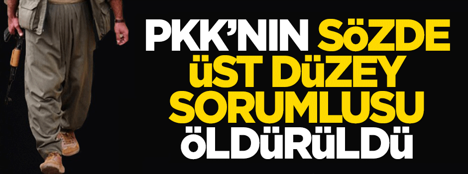 PKK'nın sözde üst düzey sorumlusu öldürüldü