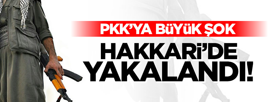 PKK’nın sözde üst düzey yöneticisi yakalandı!