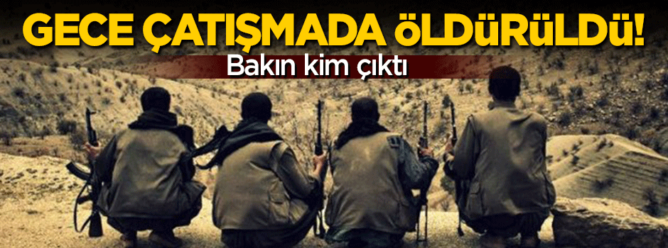 PKK'nın sözde Van sorumlusu öldürüldü!