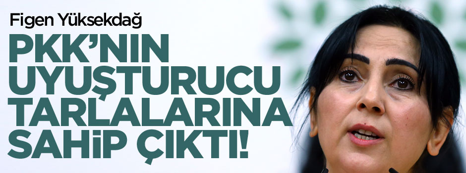 PKK'nın uyuşturucu tarlalarına sahip çıktı