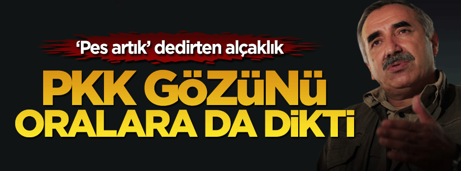 PKK'nın yeni hedefi milli ormanlar