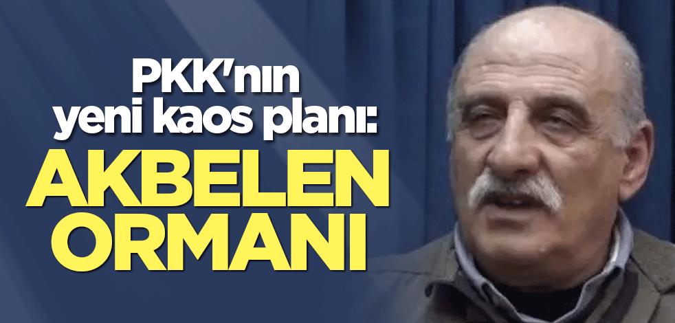 PKK'nın yeni kaos planı: Akbelen Ormanı