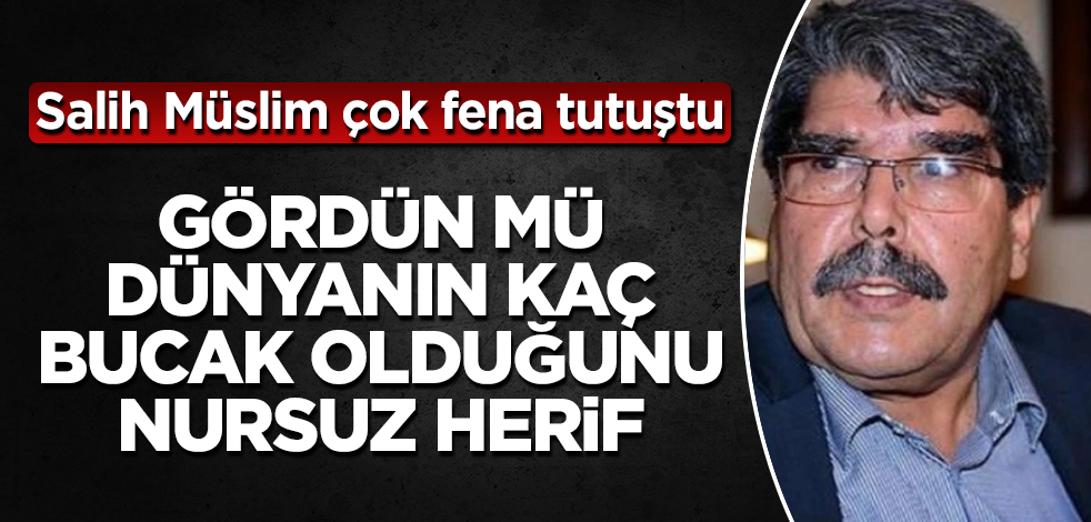 PKK/PYD elebaşı Salih Müslim çok fena tutuştu! Gördün mü dünyanın kaç bucak olduğunu alçak herif