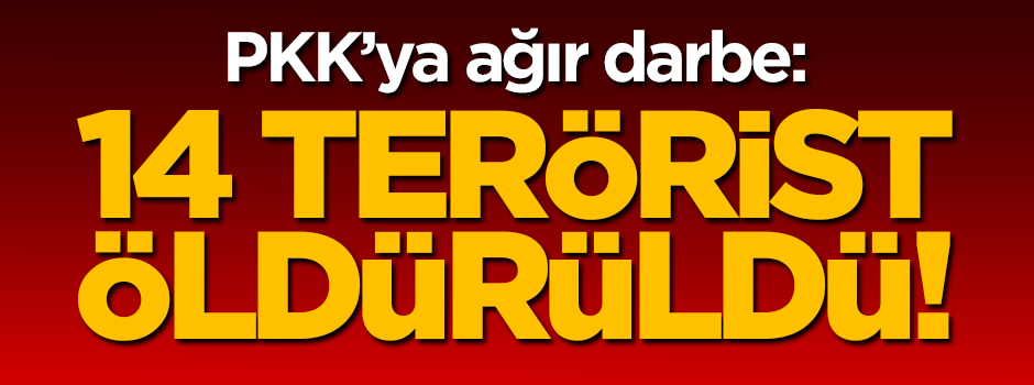 PKK'ya ağır darbe: 14 terörist öldürüldü