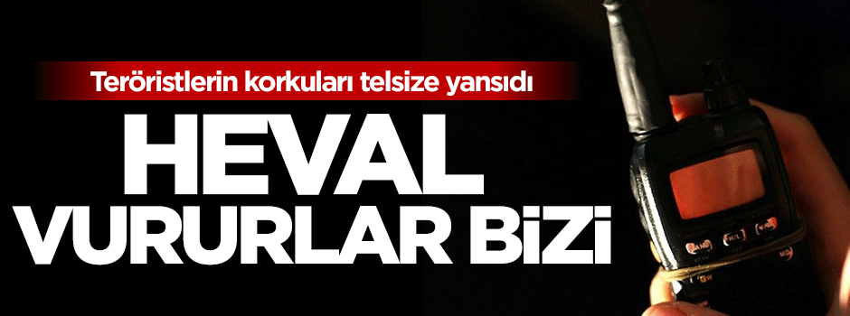PKK'ya ağır darbe