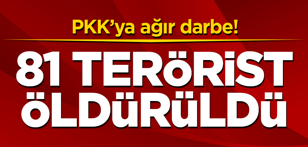 PKK'ya ağır darbe! 81 terörist öldürüldü