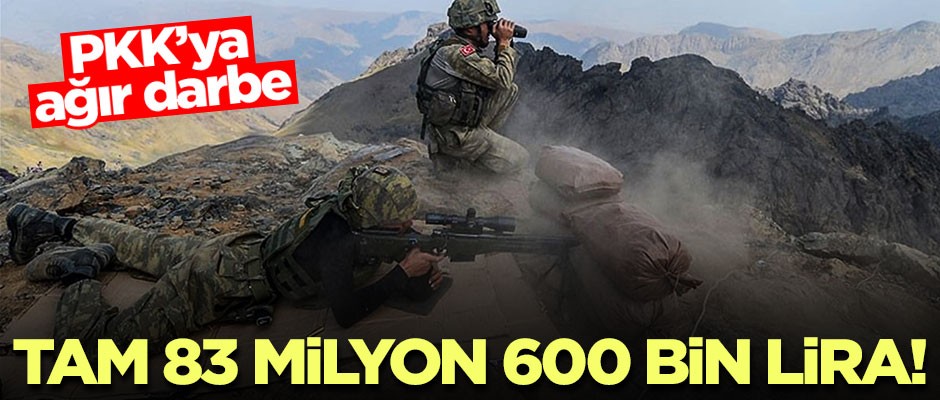 PKK'ya ağır darbe! Listedeki teröristlerin 41'i imha edildi