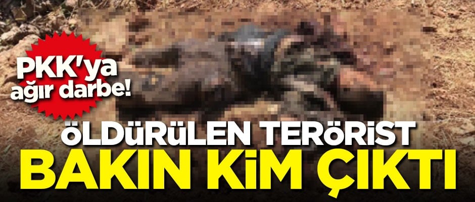 PKK'ya ağır darbe! Öldürülen terörist bakın kim çıktı