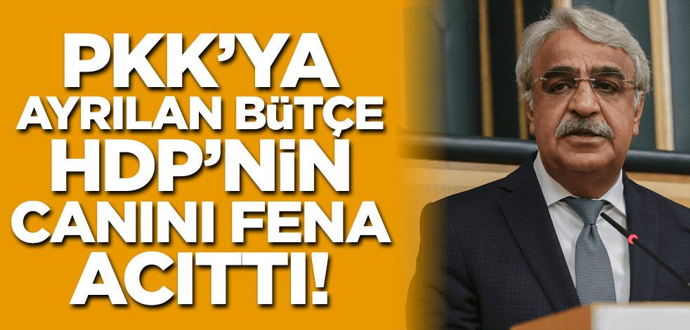 PKK'ya ayrılan bütçe HDP'nin canını fena acıttı!