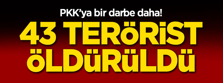 PKK'ya bir darbe daha! 43 terörist öldürüldü