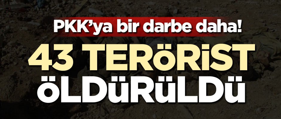 PKK'ya bir darbe daha! 43 terörist öldürüldü