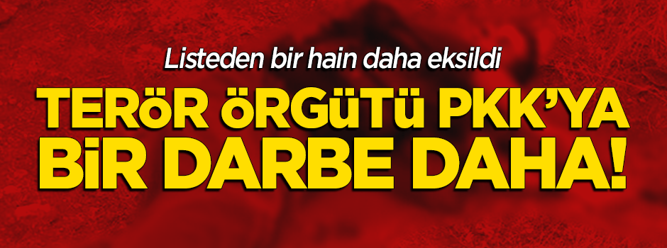 PKK'ya bir darbe daha! Listeden bir terörist daha eksildi