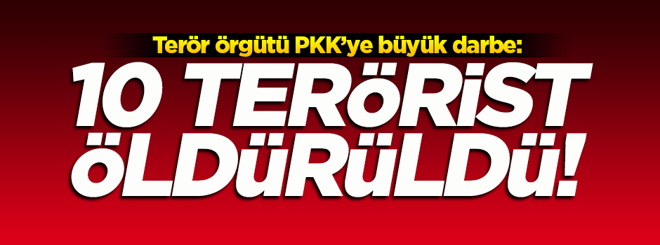PKK'ya büyük darbe: 10 terörist öldürüldü