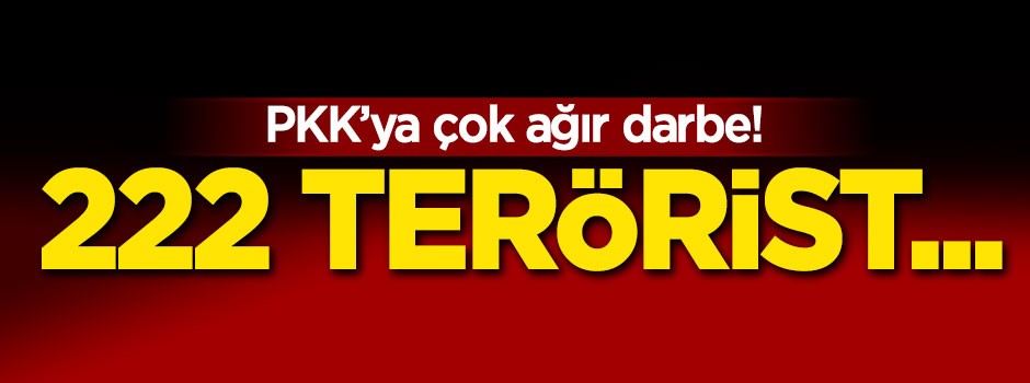 PKK'ya çok ağır darbe! 222 terörist...
