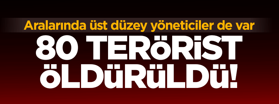 PKK'ya çok ağır darbe: 80 terörist öldürüldü