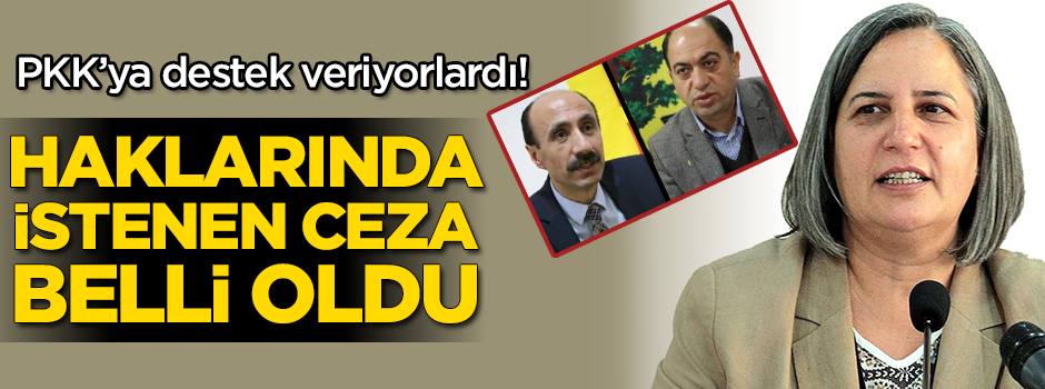 PKK'ya destek veriyorlardı! Cezaları belli oldu