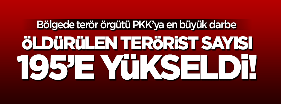 PKK'ya en ağır darbe: Öldürülen terörist sayısı 195'e çıktı!