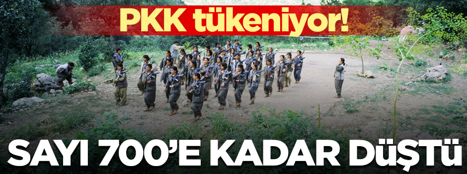 PKK'ya en ağır darbe: Sayı 700'e kadar düştü!