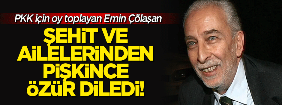 PKK'ya oy dilenen Çölaşan şehit ailelerinden özür diledi