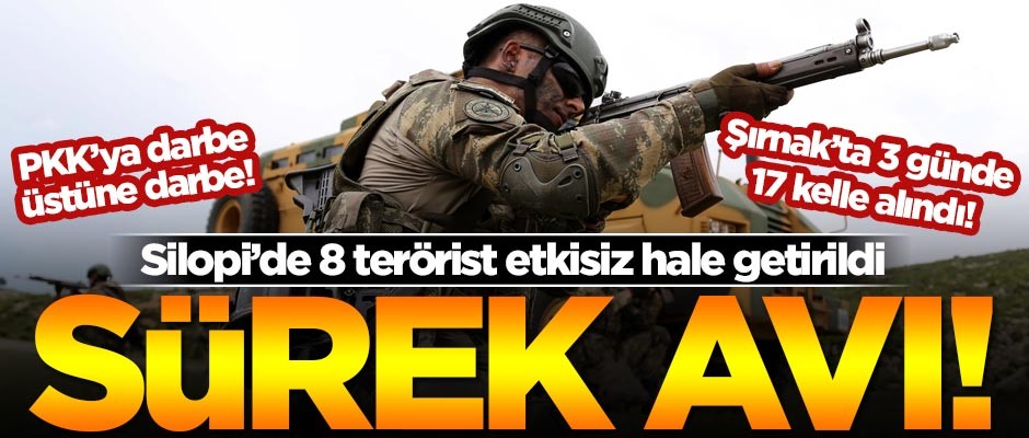 PKK'ya sürek avı! 8 terörist etkisiz hale getirildi