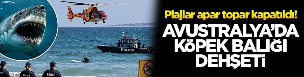 Plajlar apar topar kapatıldı! Avustralya’da köpek balığı dehşeti!
