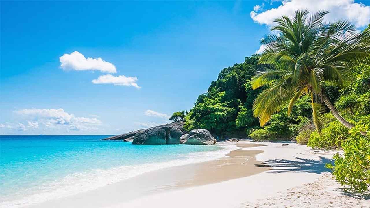 Plajlar yok oluyor: Yüzyıl sonuna kadar dünya kıyılarının yarısı tehlikede