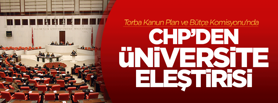 Plan ve Bütçe Komisyonu'nda üniversite tartışması