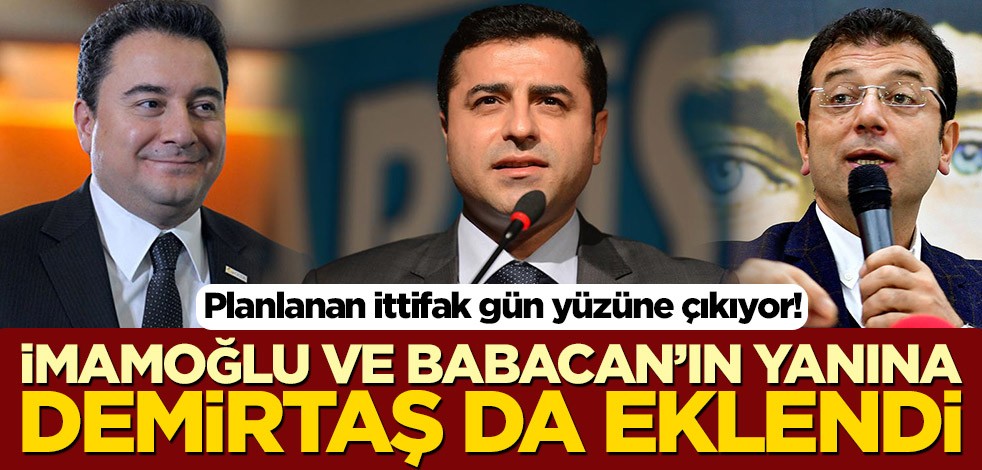Planlanan ittifak gün yüzüne çıkıyor! İmamoğlu ve Babacan’ın yanına Demirtaş da eklendi