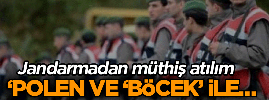 ‘Polen ve ‘Böcek’ ile… Jandarmadan müthiş atılım